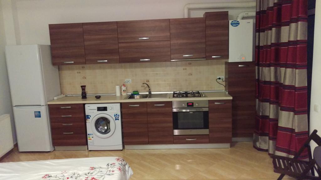 Garsoniere Dinu Apartment บูคาเรสต์ ห้อง รูปภาพ